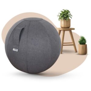 כדור ישיבה ארגונומי - ACTIVE BALL